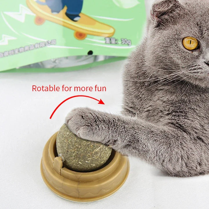 Cat Grass Catnip Ball – Stick-On Toy that Promotes Digestion & Fun