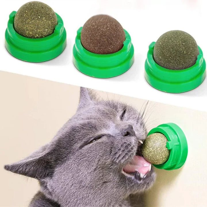 Cat Grass Catnip Ball – Stick-On Toy that Promotes Digestion & Fun