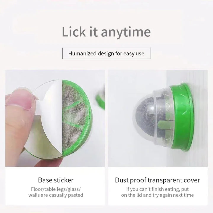 Cat Grass Catnip Ball – Stick-On Toy that Promotes Digestion & Fun