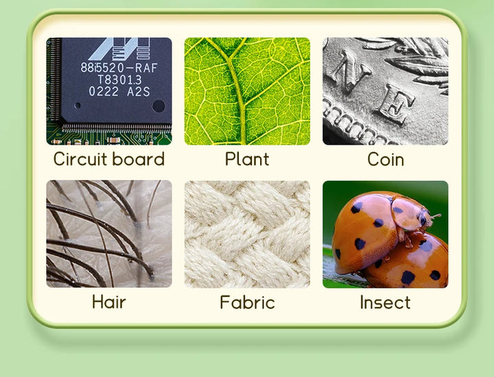 Mini Microscope for Kids – 2" Screen with 1000x Zoom, Educational Gift